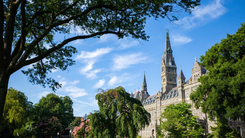 healy summer morning crop