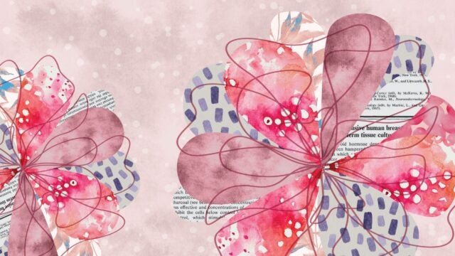 flower collage